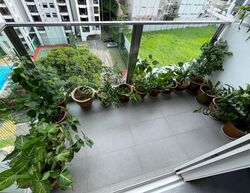 8 Bassein (D11), Apartment #568223631